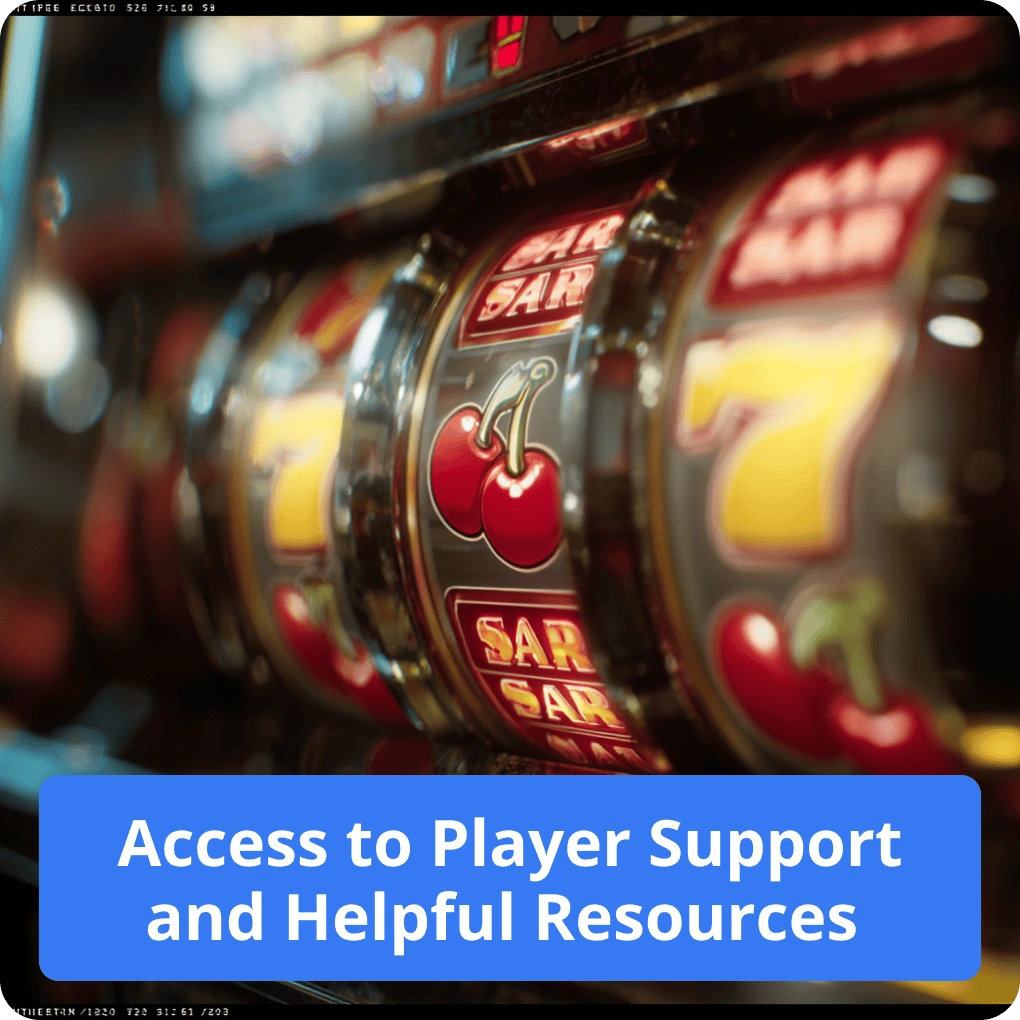 Access to Player Support and Helpful Resources
